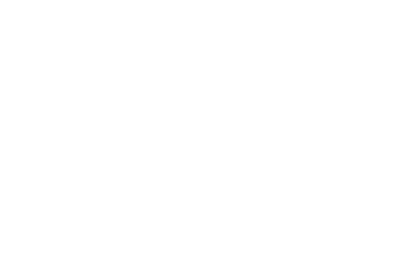 logo-usi-white