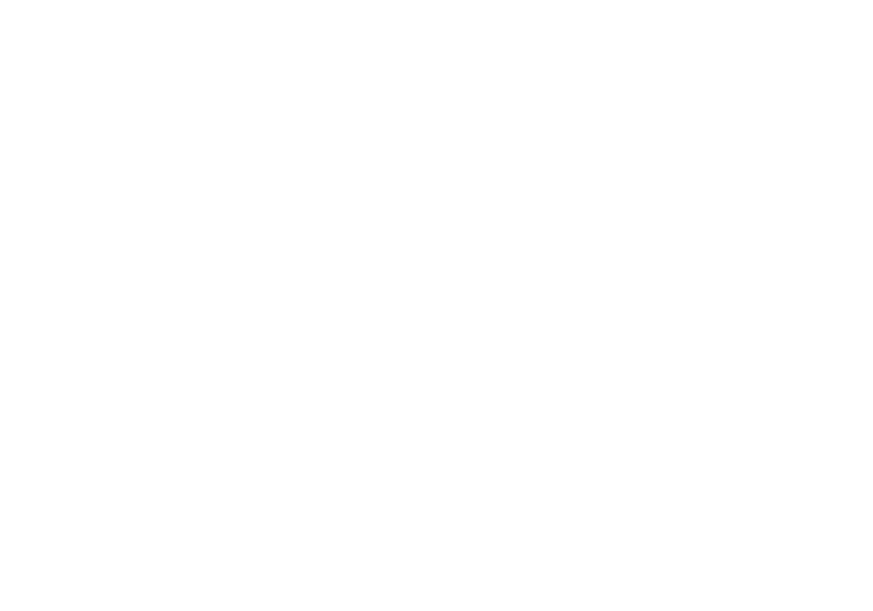 logo USI